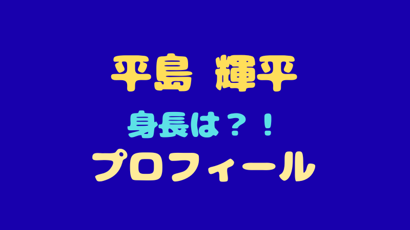 平島輝のプロフィール情報！身長や年齢・出身地などの魅力を徹底解説 